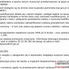 Fotka nr 3 z 4