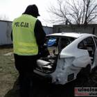 Fotka nr 2 z 3
