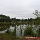 zdjęcie nr 34