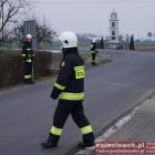 zdjęcie nr 13