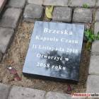 zdjęcie nr 113
