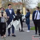 zdjęcie nr 20