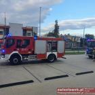 Fotka nr 5 z 12