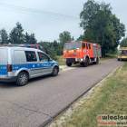 zdjęcie nr 7