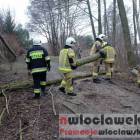 Fotka nr 2 z 16