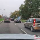 zdjęcie nr 25