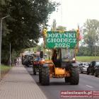 zdjęcie nr 36