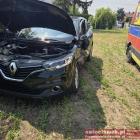 Fotka nr 5 z 7