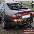 Fotka nr 2 z 3