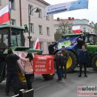 zdjęcie nr 37