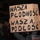 zdjęcie nr 187