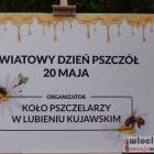 zdjęcie nr 73