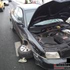 Fotka nr 2 z 4