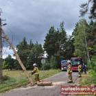 zdjęcie nr 17