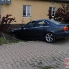 Fotka nr 1 z 2