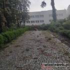 zdjęcie nr 41