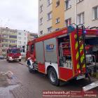 Fotka nr 1 z 2