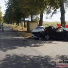 Fotka nr 2 z 4
