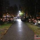 zdjęcie nr 29