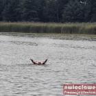 zdjęcie nr 8