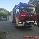 Fotka nr 2 z 3