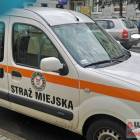 zdjęcie nr 14