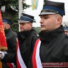 zdjęcie nr 10