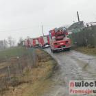 Fotka nr 5 z 6