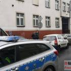 zdjęcie nr 8