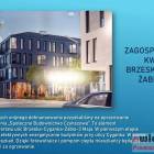 zdjęcie nr 29