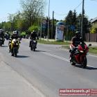 zdjęcie nr 122