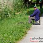 zdjęcie nr 34