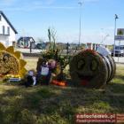 Fotka nr 4 z 201