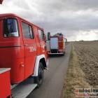 Fotka nr 5 z 20