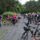 zdjęcie nr 35