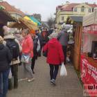 zdjęcie nr 10