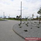 zdjęcie nr 91