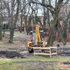 zdjęcie nr 7