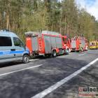 Fotka nr 4 z 19