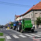 zdjęcie nr 41