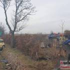 zdjęcie nr 8