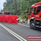 Fotka nr 2 z 16