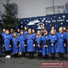 zdjęcie nr 122