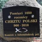 zdjęcie nr 45