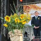 zdjęcie nr 102