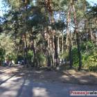 zdjęcie nr 47