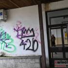zdjęcie nr 10