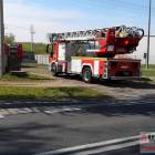 Fotka nr 1 z 11
