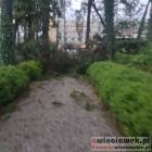 zdjęcie nr 39