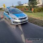 zdjęcie nr 12